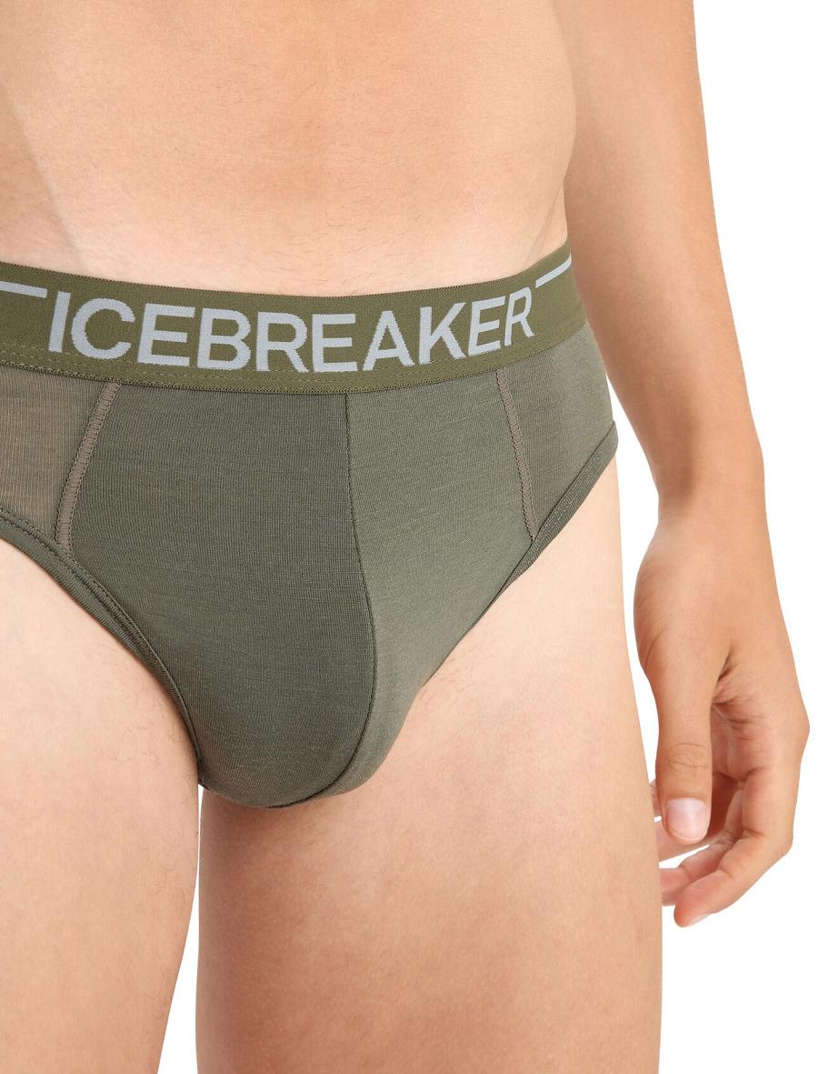 Loden Icebreaker Merino Anatomica Briefs Men's Underwear | AU 1297LISH